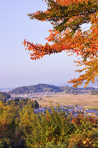 甘樫丘から天香久山 